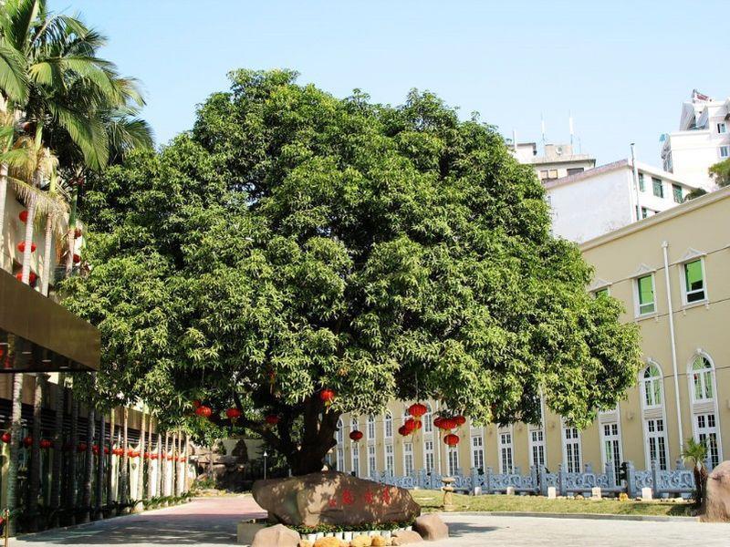 Hilford Hotel Xiamen Eksteriør bilde